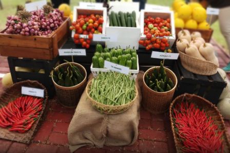 Toko Pertanian, Toko Pertanian Terdekat, Pertanian Indoensia, Sayuran, Pertanian, Sayur